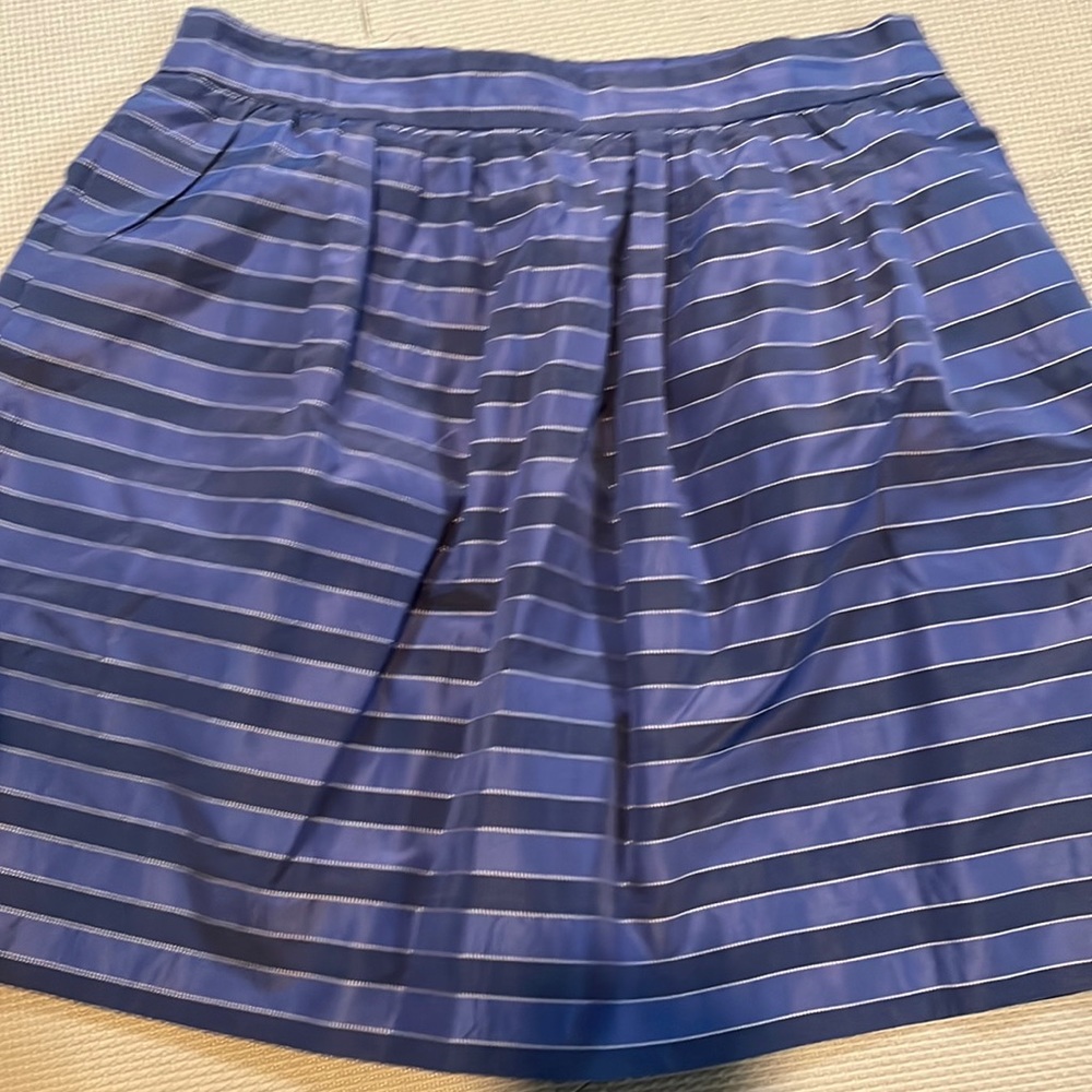 Jcrew skirt